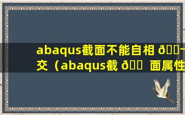 abaqus截面不能自相 🐬 交（abaqus截 🐠 面属性选不中怎么回事）